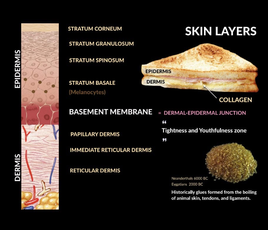 The Secrets of Skincare